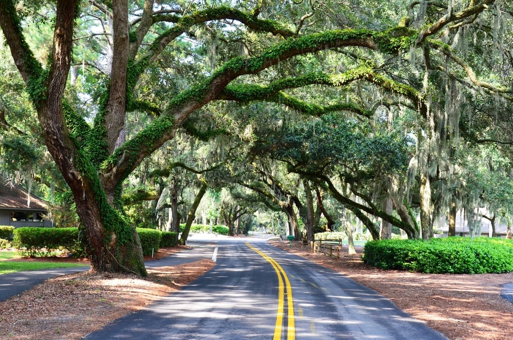 What is there to do in hilton head for families Top 7 Free Things To Do In Hilton Head