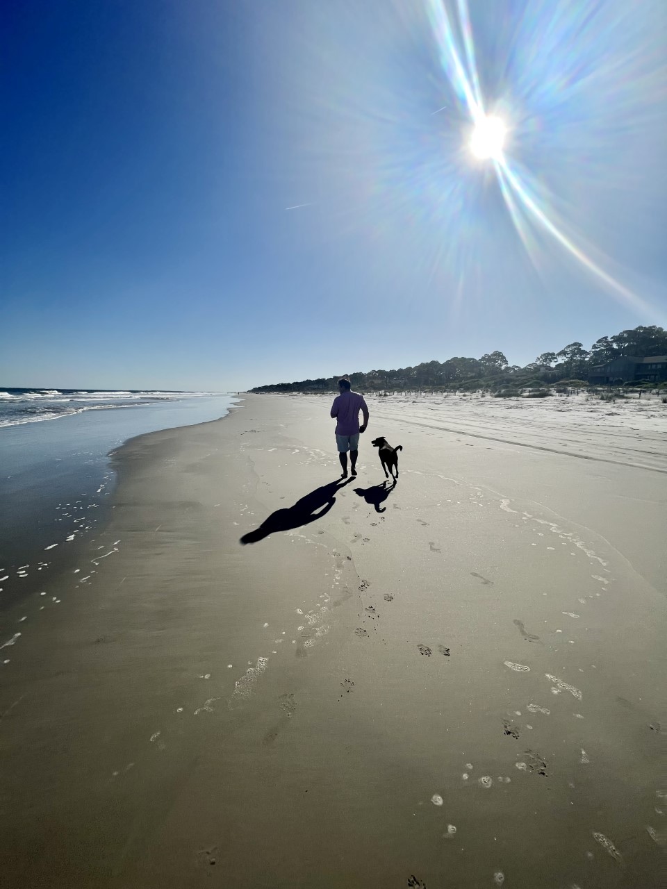 male and a dog running on the beach playing